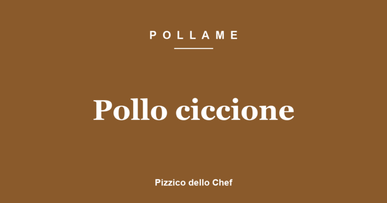 Pollo ciccione